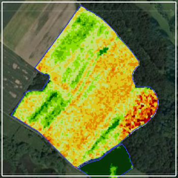 Variable Rate Nitrogen